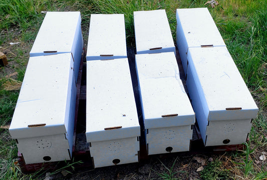 Nuc - LIVE BEES 2026 - (For Pick-Up Only no shipping)